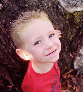 网站攻击软件工具